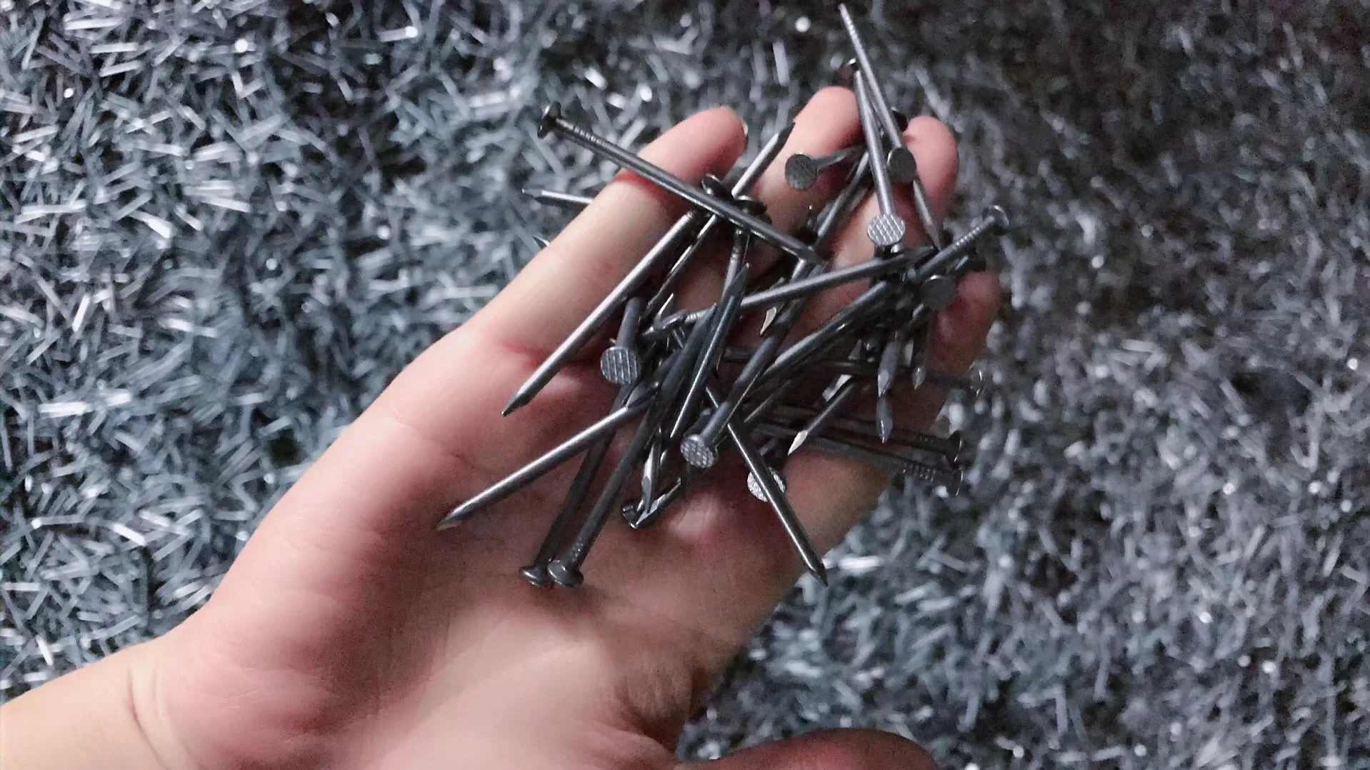 Common nails